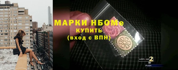 индика Вязники