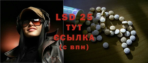 индика Вязники