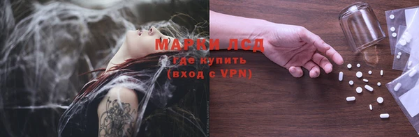 индика Вязники