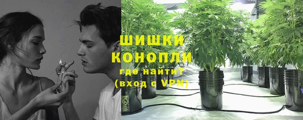индика Вязники