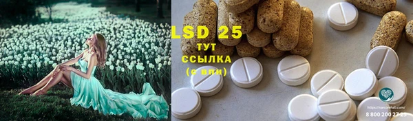 индика Вязники