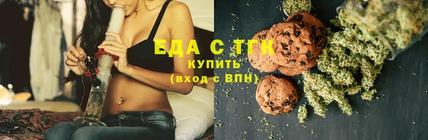 индика Вязники